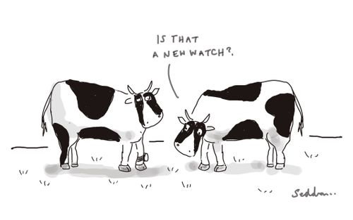 "Is that a new watch?"
