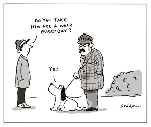 "Do you take him for a walk every day?"   "Yes"