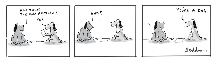 "Are those the DNA results?" "Yep." "And?" "You're a dog."