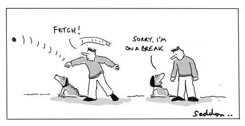 "Fetch!"   "Sorry, I'm on a break."
