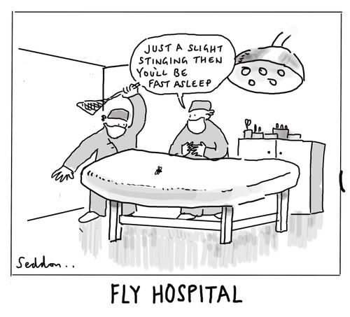 Fly Hospital: "Just a slight stinging then you'll be fast asleep."