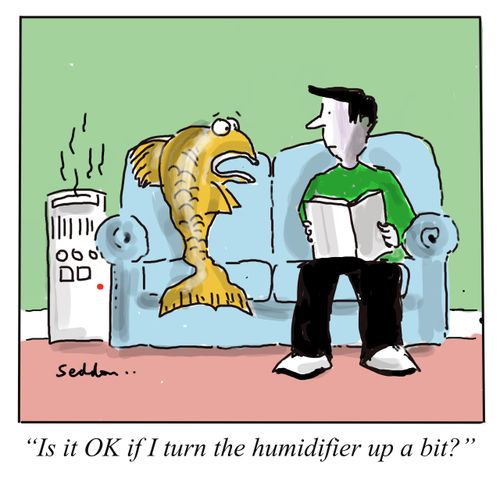 "Is it OK if I turn the humidifier up a bit?"