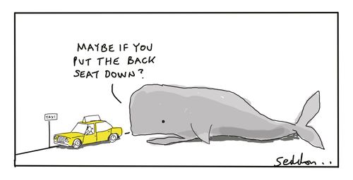 "Maybe if you put the back seat down?"