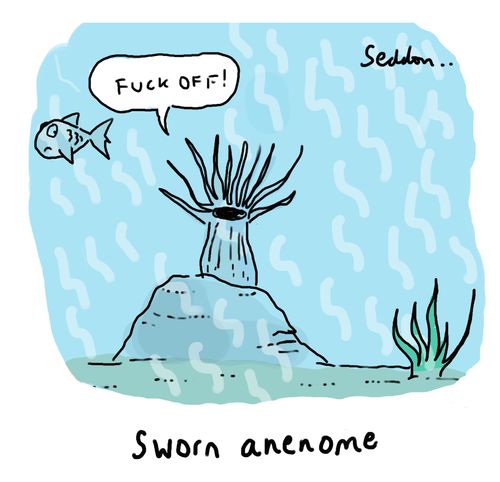 Sworn Anenome
