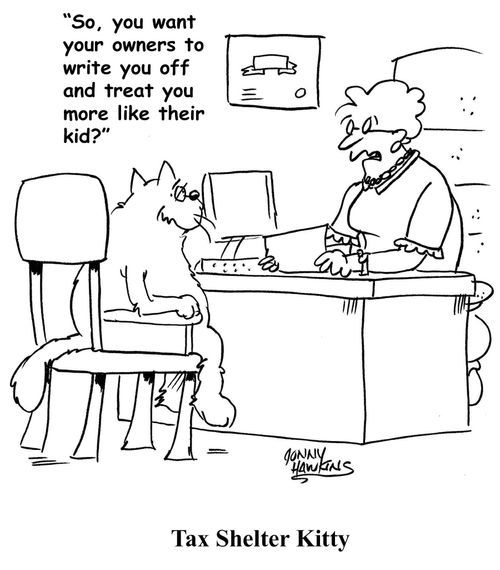 "So, you want your owners to write you off and treat you more like their kid?"