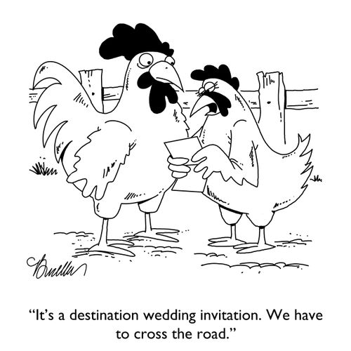 "It's a destination wedding invitation. We have to cross the road."