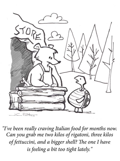 "I've been really craving Italian food for months now. Can you grab me two kilos of rigatoni, three kilos of fettuccini, and a bigger shell? The one I have is feeling a bit too tight lately."