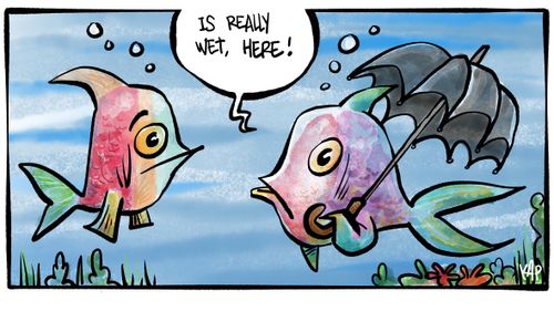 "Is really wet, here!"