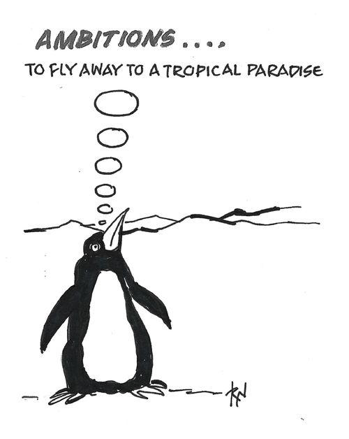 "Ambitions... to fly away to a tropical paradise."