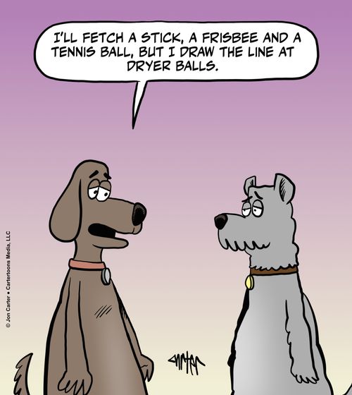 "I'll fetch a stick, a frisbee and a tennis ball, but I draw the line at dryer balls."
