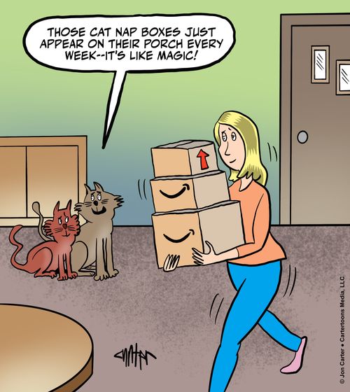 "Those cat nap boxes just appear on their porch every week—it's like magic!"