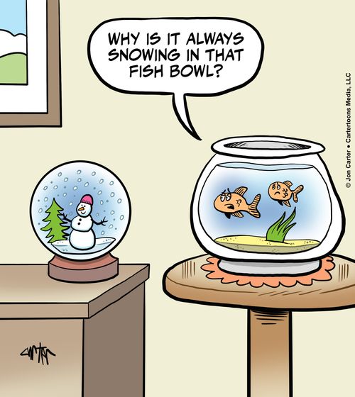 "Why is it always snowing in that fish bowl?"