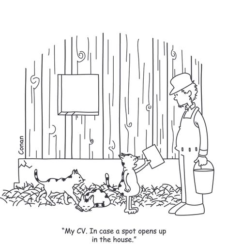 "My CV. In case a spot opens up in the house."