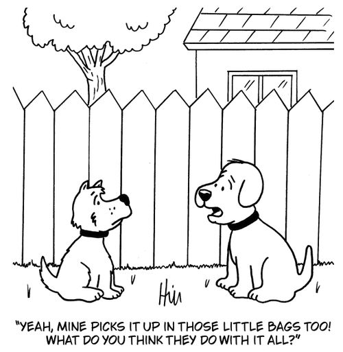 "Yeah, mine picks it up in those little bags too! What do you think they do with it all?"