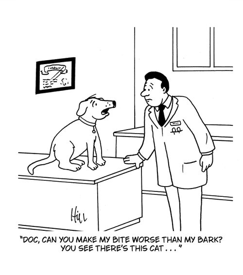 "Doc, can you make my bite worse than my bark? You see there's this cat . . ."