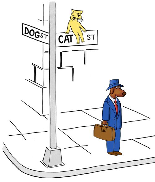 "Dog St." and "Cat St."