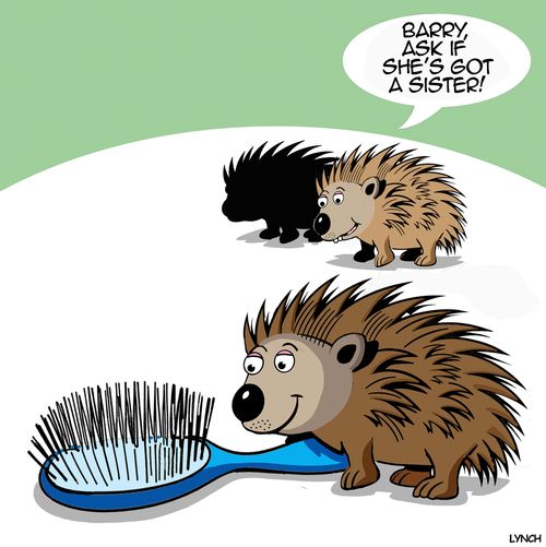 "Barry, ask if she's got a sister!"