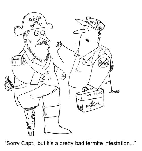 "Sorry Capt., but it's a pretty bad termite infestation..."