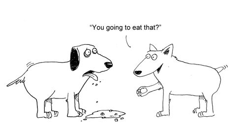 "You going to eat that?"