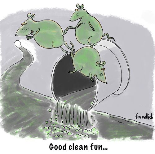 Good clean fun...