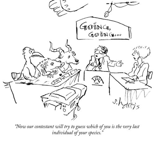 "Now our contestant will try to guess which of you is the very last individual of your species."