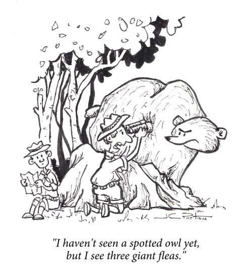 "I haven't seen a spotted owl yet, but I see three giant fleas."