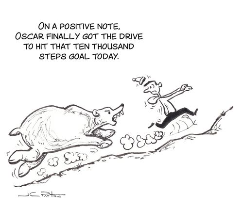"On a positive note, Oscar finally got the drive to hit that ten thousand steps goal today."
