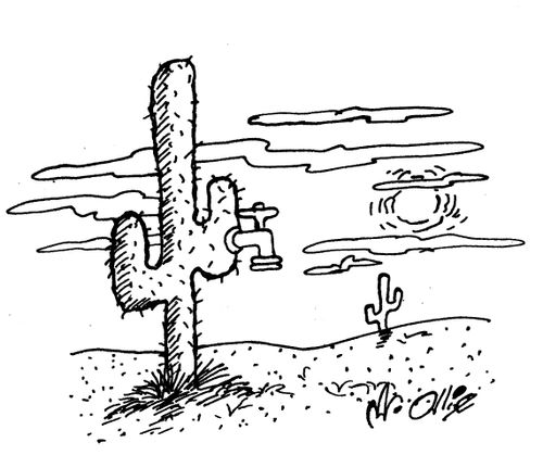 Cactus Water