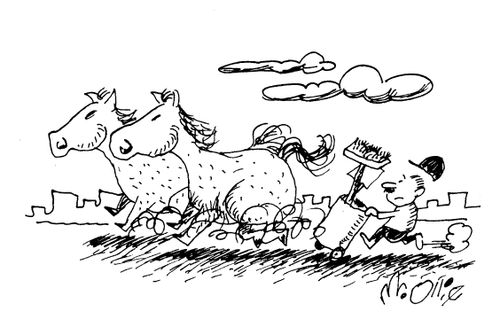 Horse Clean-up