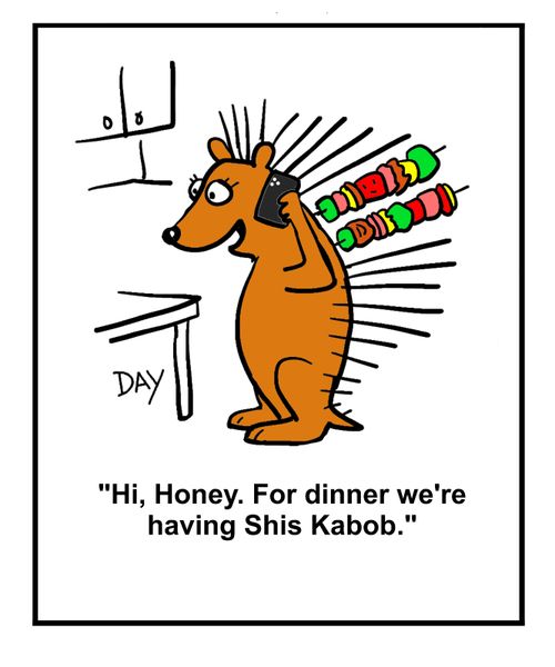 "Hi, Honey. For dinner we're having Shis Kabob."