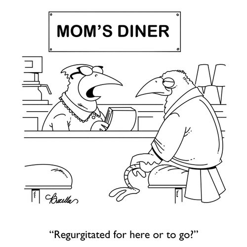 "Regurgitated for here or to go?"