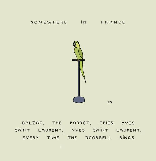 "Somewhere in France Balzac, the parrot, cries Yves Saint Laurent, Yves Saint Laurent, every time the doorbell rings."