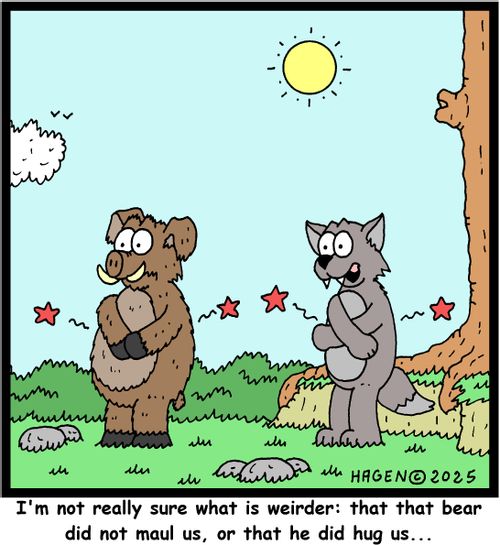 "I'm not really sure what is weirder: that that bear did not maul us, or that he did hug us..."