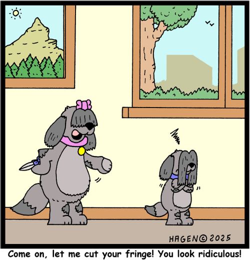 "Come on, let me cut your fringe! You look ridiculous!"