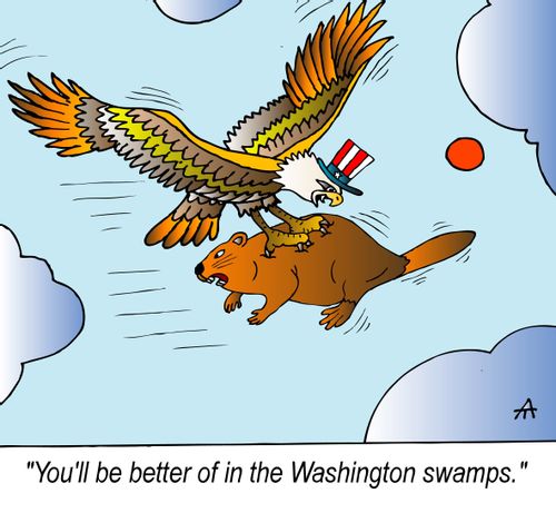 "You'll be better off in the Washington swamps."