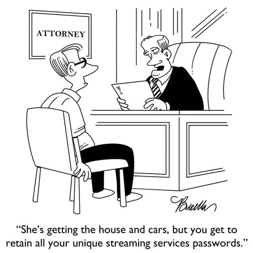 "She’s getting the house and cars, but you get to retain all your unique streaming services passwords."
