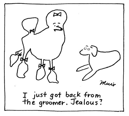 "I just got back from the groomer. Jealous?"