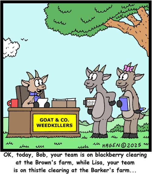 "OK, today, Bob, your team is on blackberry clearing at the Brown's farm, while Lisa, your team is on thistle clearing at the Barker's farm..."