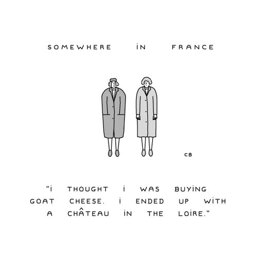 Somewhere in France: "I thought I was buying goat cheese. I endedup with a chateau in the Loire."