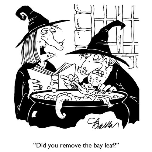 "Did you remove the bay leaf?"