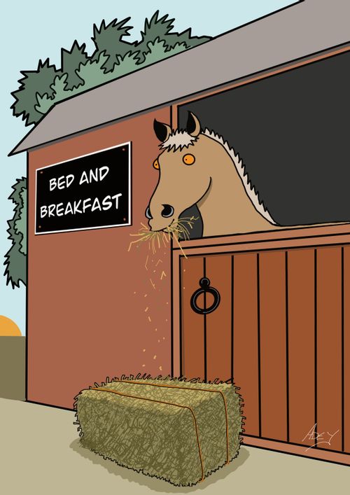 "Bed and breakfast"