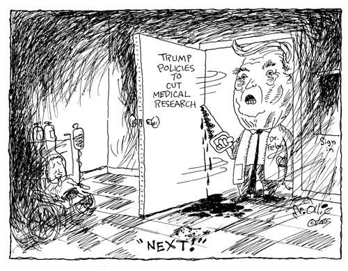 Trump Policies to Cut Medical Research