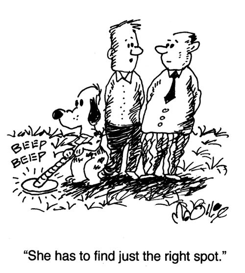 "She has to find just the right spot."