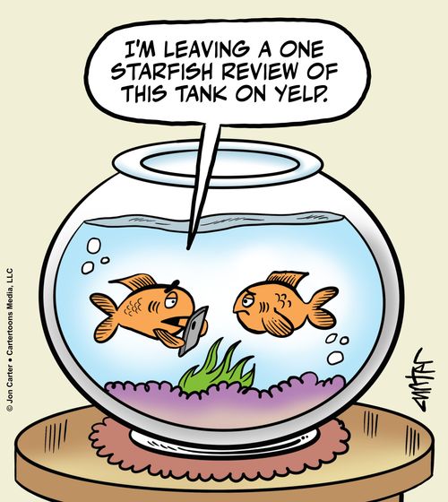 "I'm leaving a one starfish review of this tank on Yelp."