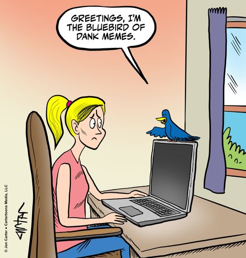 "Greetings, I'm the bluebird of dank memes."