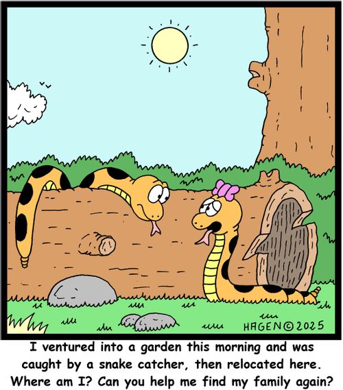 "I ventured into a garden this morning and was caught by a snake catcher, then relocated here. Where am I? Can you help me find my family again?"