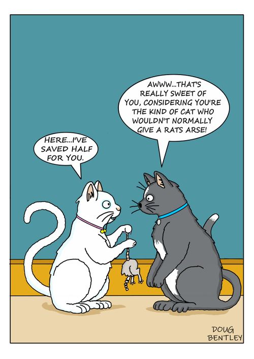 "Awww....that's really sweet of you, considering you're the kind of cat who wouldn't normally give a rats arse!"