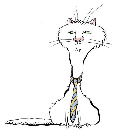 Cat Tie