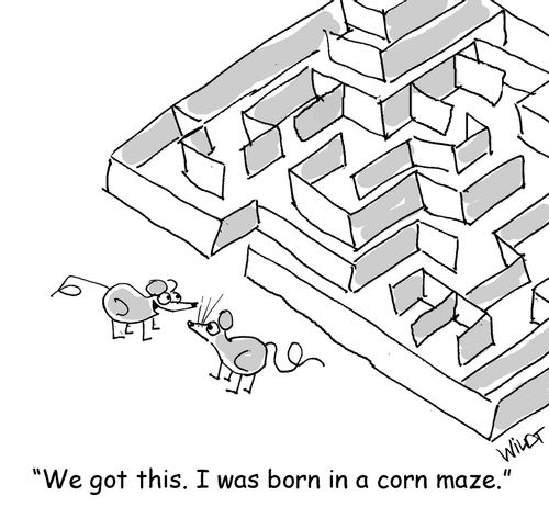 "We got this. I was born in a corn maze." CS629922