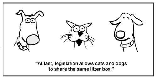 "At last, legislation allows cats and dogs to share the same litter box."